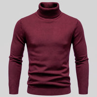 Herren Wollpullover mit Stehkragen | Severin