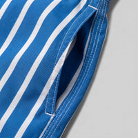 Herren Badeshorts gestreift und schnelltrocknend | Ronald