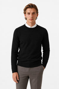 Herren Strickpullover mit Rundhalsausschnitt | Michel