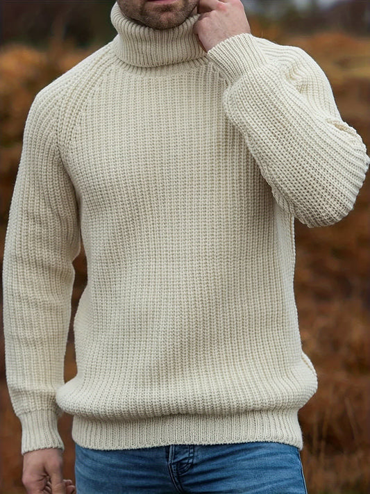 Herren Strickpullover mit Rollkragen | Erik_1